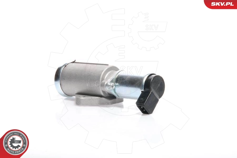 Idle Control Valve, air supply